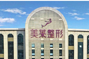 深圳美萊醫(yī)療美容醫(yī)院019年價格表