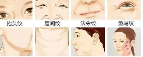 為什么有人看上去永遠(yuǎn)像18歲？