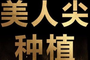 上海華美醫(yī)院植發(fā)中心怎么樣附全新價(jià)格表(價(jià)目表)