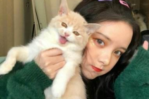 韓國365MC肥胖診療醫(yī)院整形價(jià)格表(價(jià)目表)一覽及醫(yī)院介紹