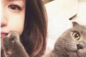 愛整形外科醫(yī)院整形價(jià)格表(價(jià)目表)一覽及醫(yī)院介紹