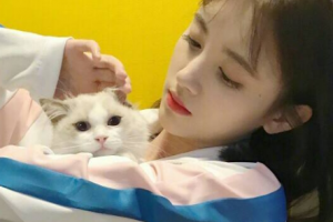 北京市第六醫(yī)院整形價格表(價目表)2020全新發(fā)布