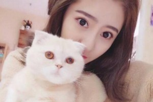 武漢美之術(shù)醫(yī)療美容門診部整形價格表(價目表)2020全新發(fā)布