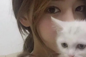 美奇醫(yī)療美容外科門診整形價(jià)格表(價(jià)目表)一覽及醫(yī)院介紹