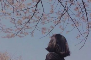 安徽合肥天鵝湖醫(yī)療整形美容醫(yī)院整形價(jià)格表(價(jià)目表)2020全新發(fā)布