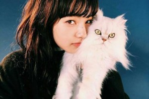 成都武侯藝美美容整形醫(yī)院整形價(jià)格表(價(jià)目表)2020全新發(fā)布