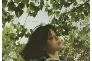 深圳金麗醫(yī)療整形醫(yī)院整形價(jià)格表(價(jià)目表)2020全新發(fā)布