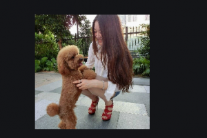 成都正好美容整形醫(yī)院整形價(jià)格表(價(jià)目表)2020全新發(fā)布