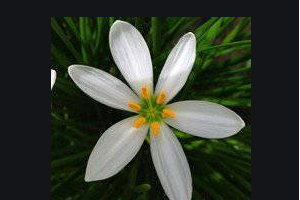 2020青島華廈眼科醫(yī)院整形價(jià)格表(價(jià)目表)全新發(fā)布