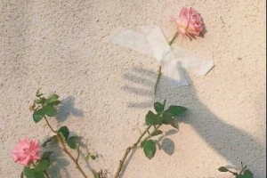 2020徐州仁濟(jì)皮膚病?？漆t(yī)院整形價(jià)格表(價(jià)目表)全新發(fā)布