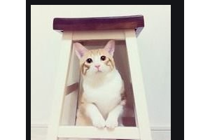 2020武漢匠歆天巧醫(yī)療美容門診部整形價(jià)格表(價(jià)目表)全新發(fā)布