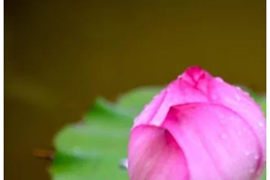 男人為何喜歡豐臀的女人？