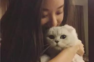 宜昌蕾帝整形美容醫(yī)院阮和平整形價(jià)格表附玻尿酸隆鼻案例展示