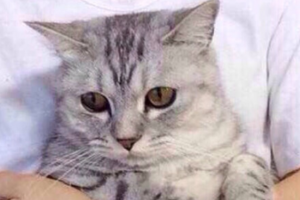 長沙亞韓醫(yī)學美容醫(yī)院李凡年整形價格表附光子嫩膚案例展示