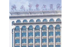 濟(jì)南前十名的整形醫(yī)院價(jià)格表展示   濟(jì)南市中心醫(yī)院整形外科皮膚祛斑手術(shù)案例