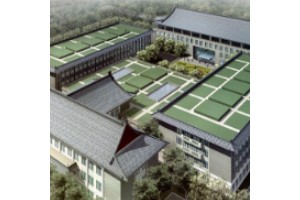 北京隆鼻醫(yī)生排行榜價格表  附隆鼻手術案例